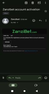 zanzibet login mobile number|Zanzibet.